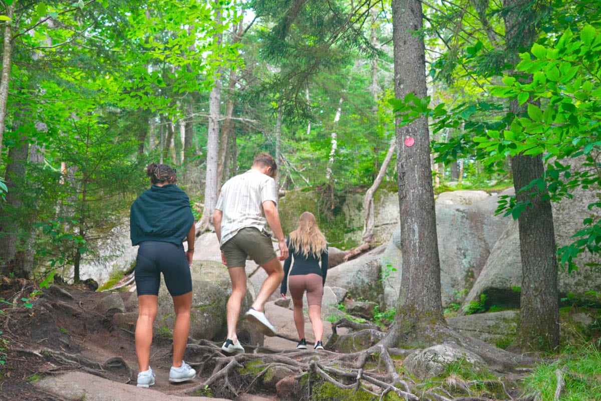 Three people walking on a trail in the woods.